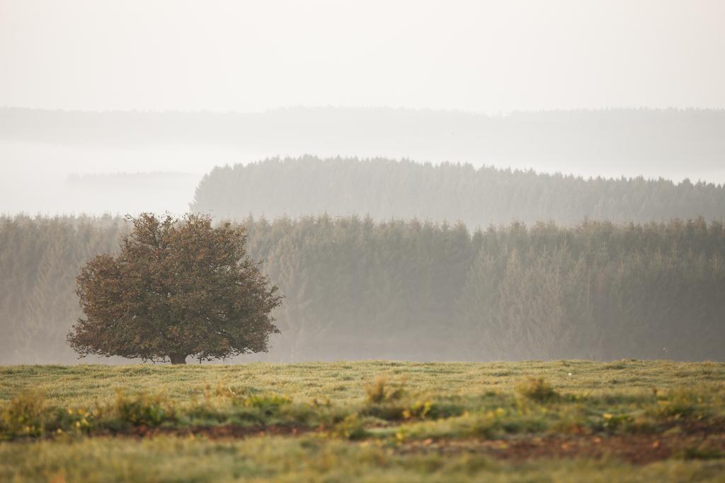 B&B Le Verger Du Pierroy Louftémont Exteriör bild